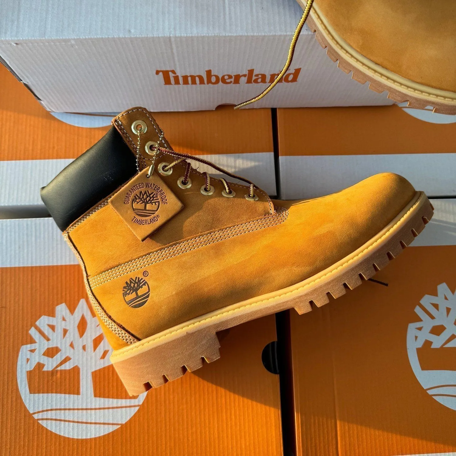 Timberland